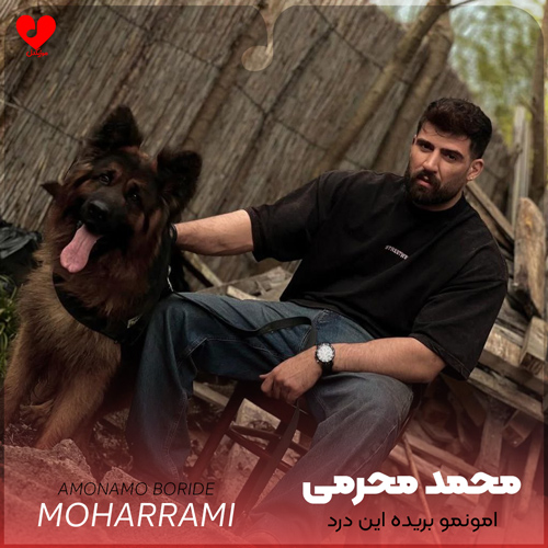 دانلود اهنگ امونمو بریده این درد دوریت منو دیوونه میکرد محمد محرمی